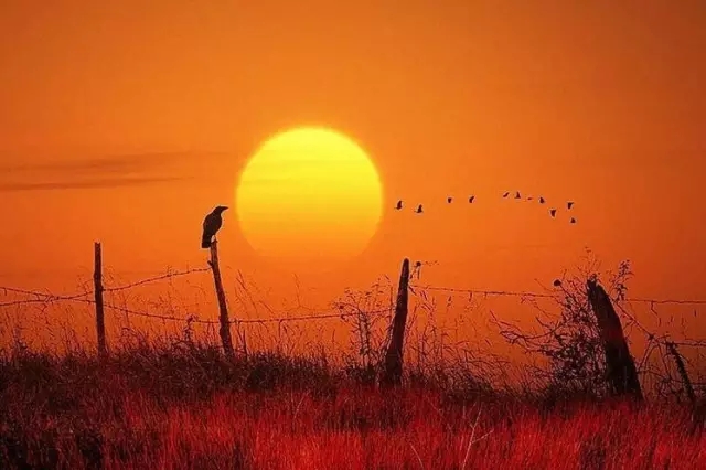 中庭人的一天！